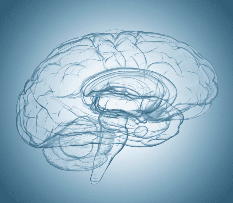 Spunti di riflessione per il recupero dell’arto superiore del paziente emiplegico