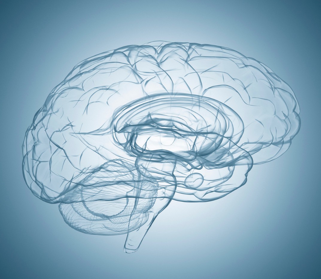 TEMPI DI RECUPERO POST-ICTUS: NUOVE INTERESSANTI EVIDENZE DA TENERE IN CONSIDERAZIONE