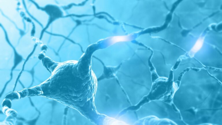 copertine pagine sul sito (2)